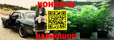 хмурый Малгобек