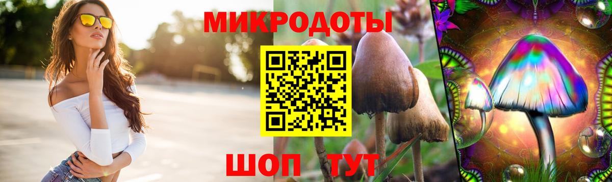 Псилоцибиновые грибы мухоморы  Вход с VPN  Псилоцибиновые грибы MAGIC MUSHROOMS  Волгоград 